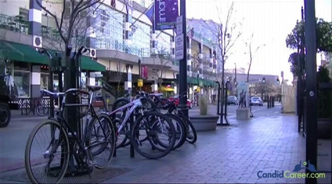 Software Development Manager