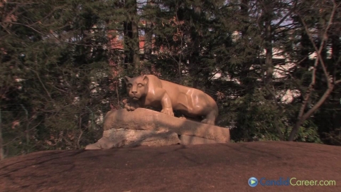 Fundraising Executive