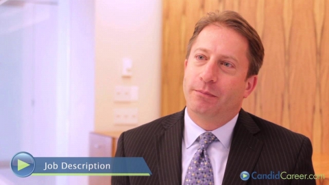 Lawfirm Pricing Director