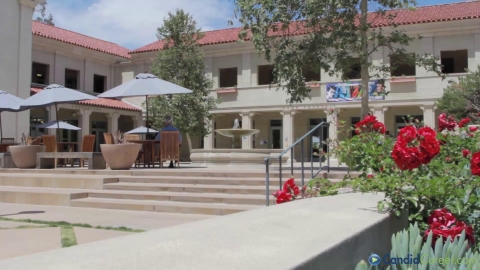 International Advisor