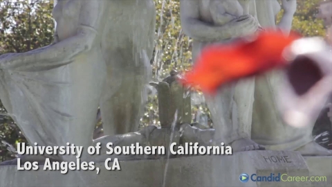 Regional Sales Manager