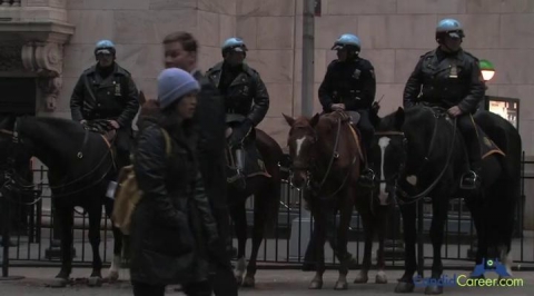 Communications Consultant