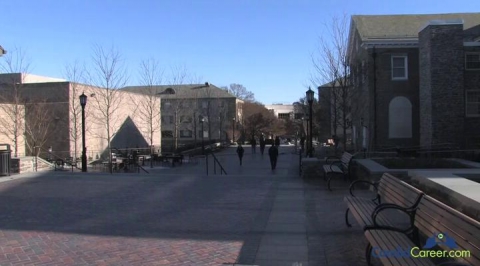 Public Relations Executive