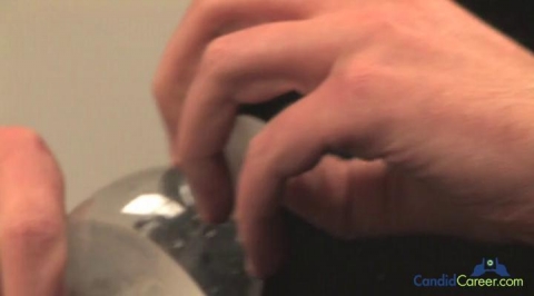 Chief Operating Officer