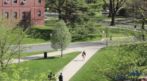 Accounting Firm Partner