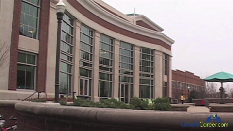 Clinical Psychologist