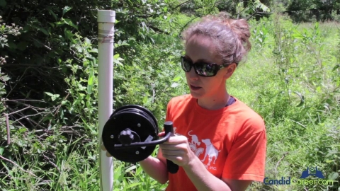 Environmental Scientist