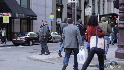 Accounting Firm Principal