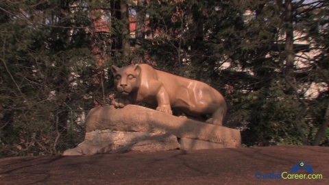 Accounting Firm Associate