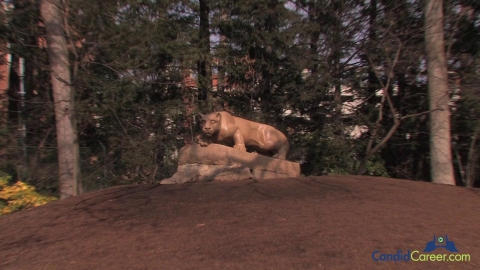 Marketing Representative