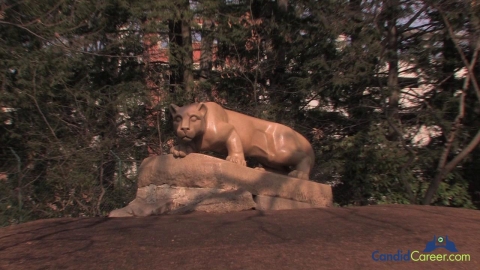 Accounting Firm Manager