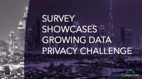 Litigation Consultant