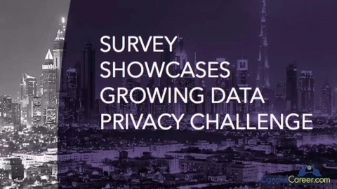 Litigation Consultant