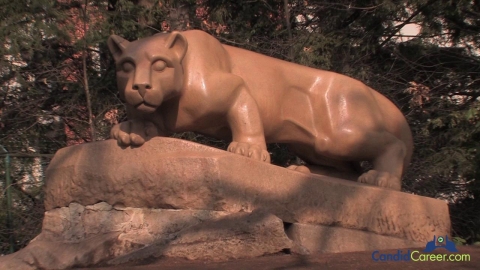 Finance Management Exec