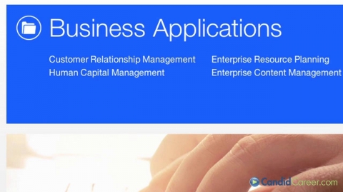 Computer Consulting CEO