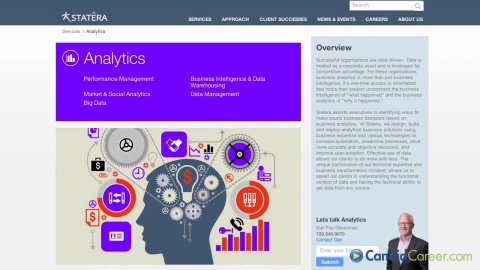 Computer Consulting CEO