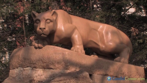 Branding & Design MGR