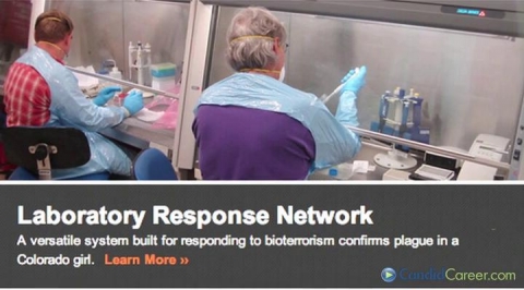 Public Health Director