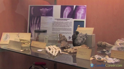 Medical Examiner
