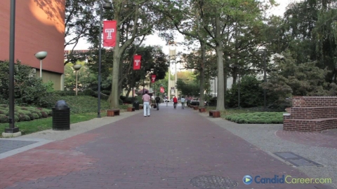 Litigation Associate