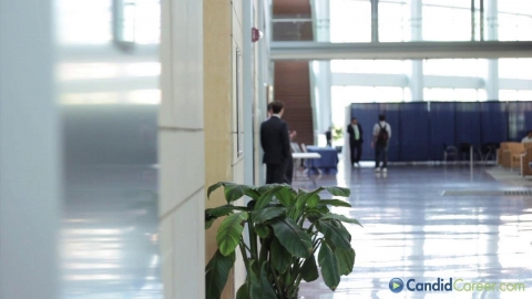 Branded Entertainment