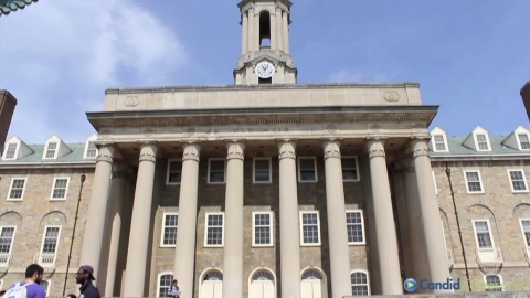 Insurance Consultant