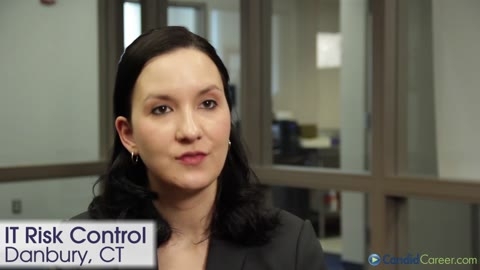 IT Risk Control