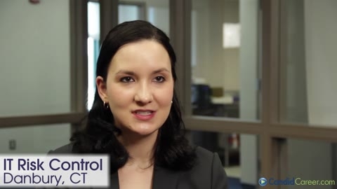IT Risk Control