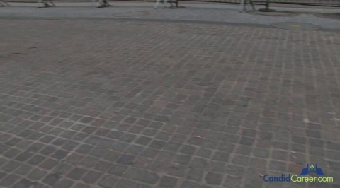 Client Development Specialist