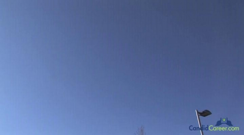 Public Relations Executive