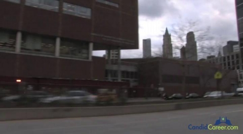 Public Relations Executive