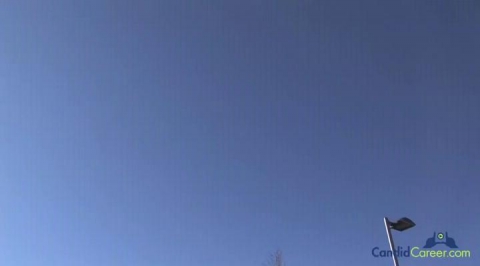 Public Relations Executive