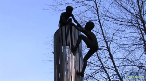 Cardiology Relations Exec