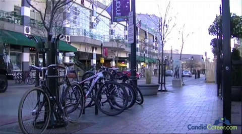 Software Development Manager