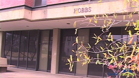 Clinical Psychologist