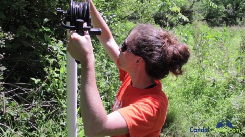 Environmental Scientist