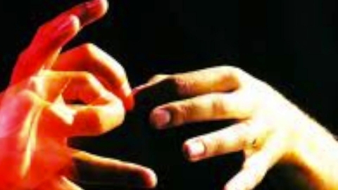 Special Needs Director