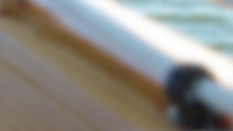 Charter Boat Captain