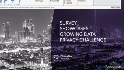 Litigation Consultant