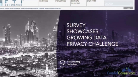 Litigation Consultant