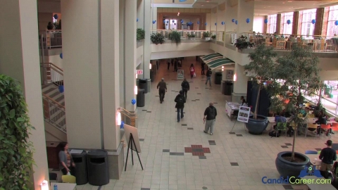 Forensic Disputes Director