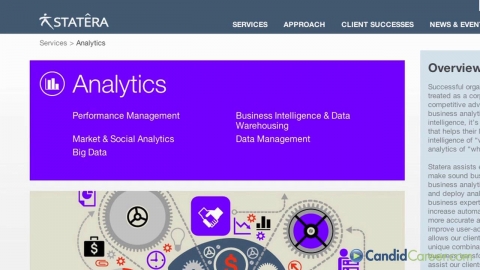 Computer Consulting CEO