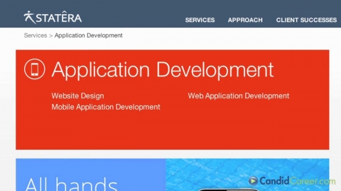 Computer Consulting CEO