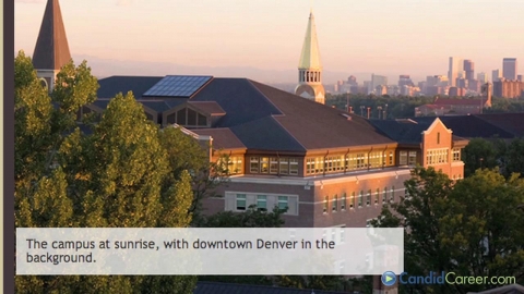 Career Services Director