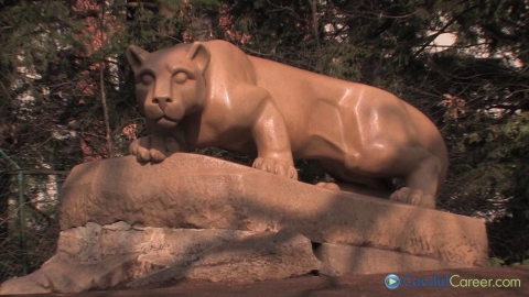 Cosmetics Sales Analyst