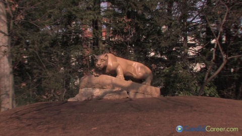 Business Analytics Specialist