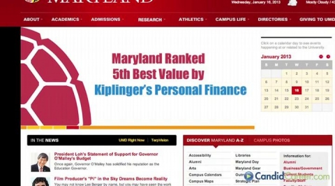 Financial Advisor