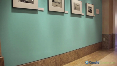Museum Curator