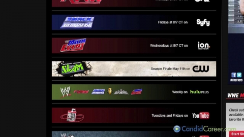 Vice President at WWE
