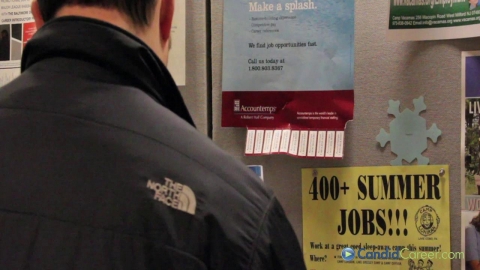 Museum Registrar